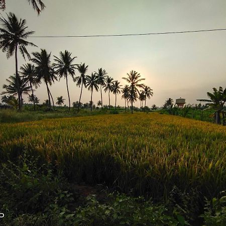 Srinivasa Homestay Hampi Esterno foto