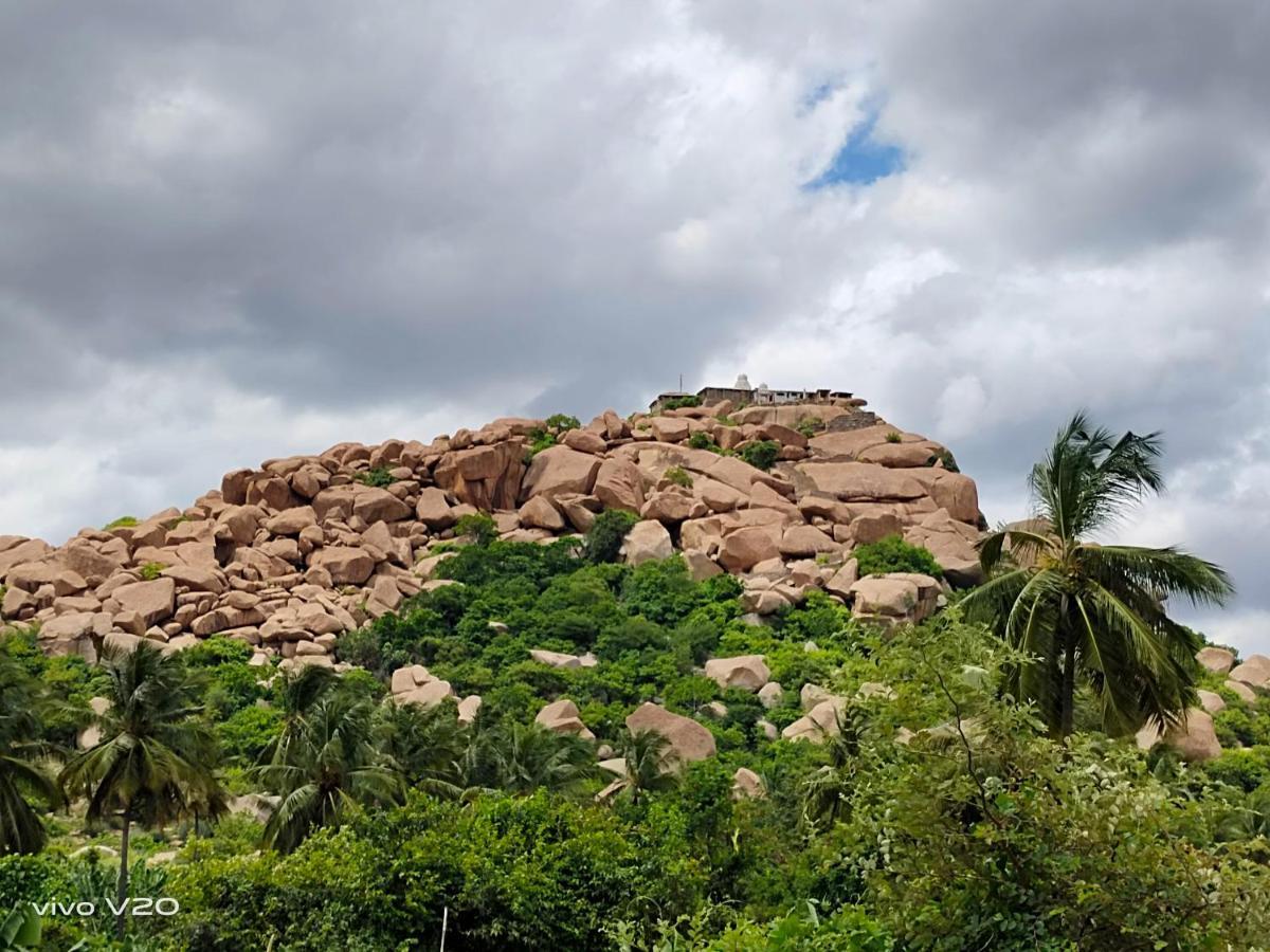 Srinivasa Homestay Hampi Esterno foto