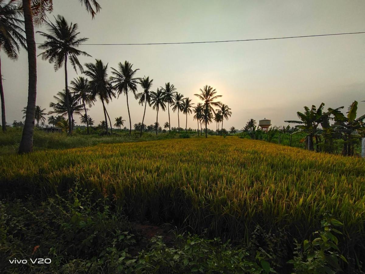 Srinivasa Homestay Hampi Esterno foto